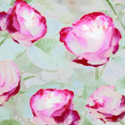 vintage rose greetings cards designs for sale /license